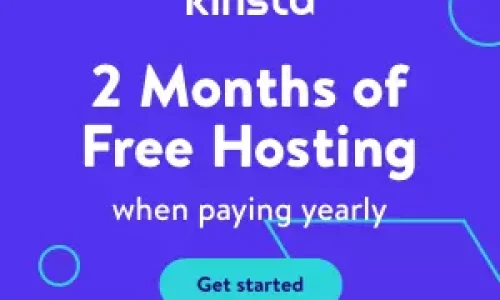 Kinsta Hosting Review – WordPress Hosting